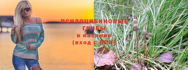 прущая мука Инта