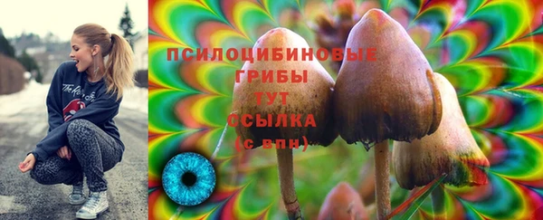 ГАЛЛЮЦИНОГЕННЫЕ ГРИБЫ Зеленодольск