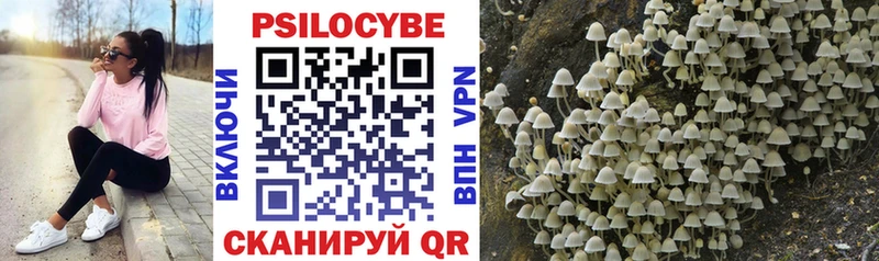 Псилоцибиновые грибы GOLDEN TEACHER  Купить где  Ирбит 